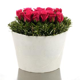 Polystone Vase of Hot Pink Roses